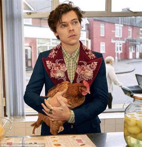 harry styles in gucci with a chicken|Harry Styles wears a Gucci suit and a chicken to visit the local .